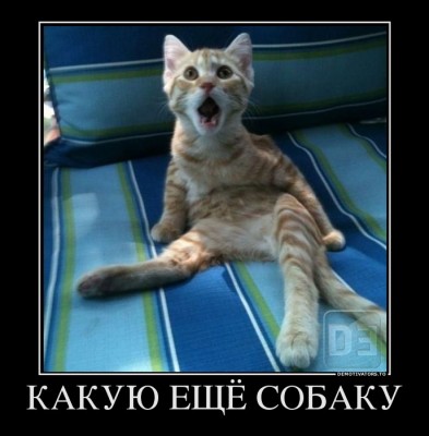 8784258_kakuyu-eschyo-sobaku.jpg (84.88 КБ) 8408 просмотров 8784258_kakuyu-eschyo-sobaku.jpg