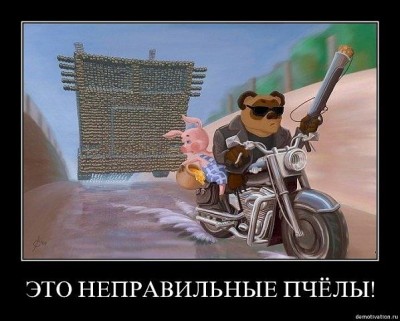 ПЧЁЛЫe.jpg