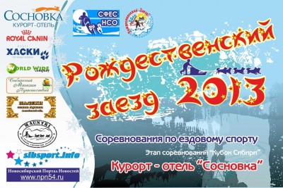 логотип 2013.jpg