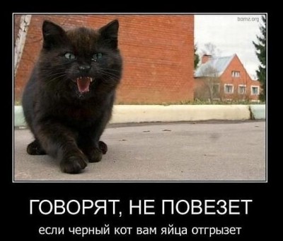 getImageCAH44XWJ.jpg (39.8 КБ) 6869 просмотров getImageCAH44XWJ.jpg