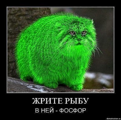 getImageCAKOVZQJ.jpg (50.7 КБ) 6860 просмотров getImageCAKOVZQJ.jpg