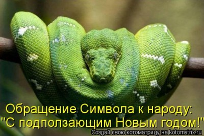 kotomatritsa_GQ.jpg (55.75 КБ) 6686 просмотров kotomatritsa_GQ.jpg