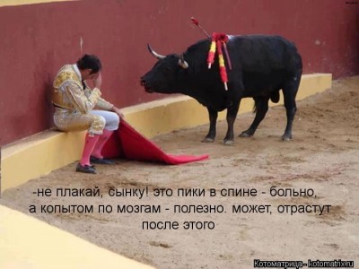 kotomatritsa_Uv.jpg (52.79 КБ) 6678 просмотров kotomatritsa_Uv.jpg