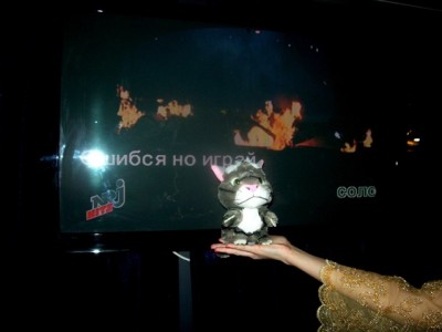 09.jpg