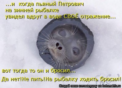 kotomatritsa_Yp.jpg (51.27 КБ) 5476 просмотров kotomatritsa_Yp.jpg
