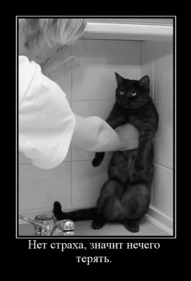 z_89e99581.jpg (49.77 КБ) 3589 просмотров z_89e99581.jpg