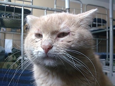 y_200d2686.jpg (79.85 КБ) 3584 просмотра y_200d2686.jpg