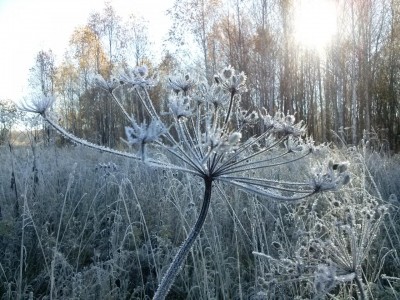 2013-10-06 10.00.02.jpg