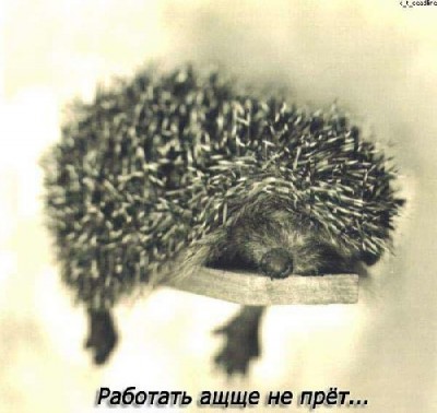 111.jpg (46.79 КБ) 4487 просмотров 111.jpg