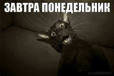 понедельник.jpg