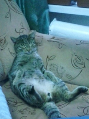 IMG_20140603_211032.jpg (67.08 КБ) 3587 просмотров IMG_20140603_211032.jpg