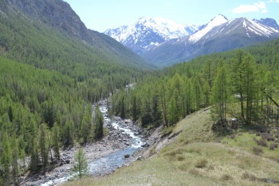 DSC_5848 - копия.JPG