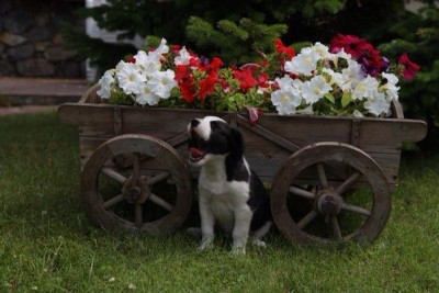 BVKsXFsSSsQ.jpg (52.22 КБ) 7708 просмотров BVKsXFsSSsQ.jpg