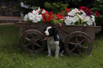 i6OF2jmpzPI.jpg (54.05 КБ) 7615 просмотров i6OF2jmpzPI.jpg