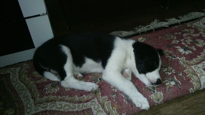 LuTBqJlmaKQ.jpg (67.73 КБ) 7708 просмотров LuTBqJlmaKQ.jpg