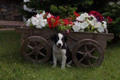 sTrWxYV66Ig.jpg (52.85 КБ) 7615 просмотров sTrWxYV66Ig.jpg