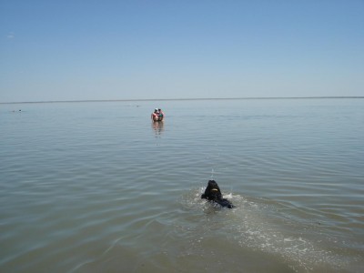 DSC09317.JPG (72.18 КБ) 7558 просмотров DSC09317.JPG