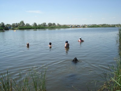 DSC09303.JPG (129.3 КБ) 7558 просмотров DSC09303.JPG