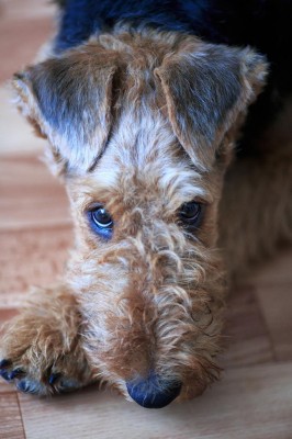 1.jpg (96.75 КБ) 7574 просмотра 1.jpg