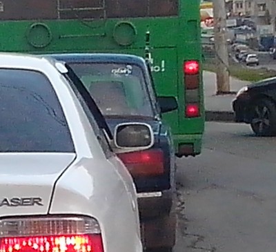 дельфин.jpg (242.61 КБ) 8499 просмотров дельфин.jpg