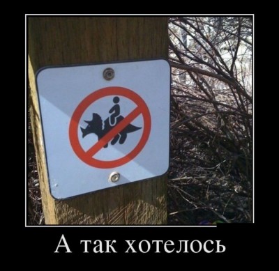 22.jpg (65.6 КБ) 5147 просмотров 22.jpg