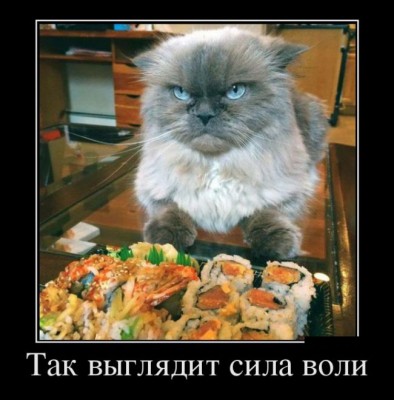 3881680_da48e12c.jpg (62.31 КБ) 4967 просмотров 3881680_da48e12c.jpg