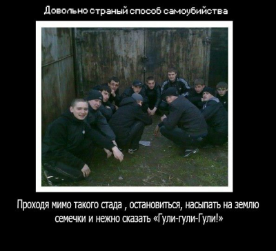 20141003_122111.png (273.37 КБ) 4858 просмотров 20141003_122111.png