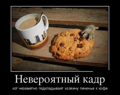 2.jpg (60.51 КБ) 4589 просмотров 2.jpg