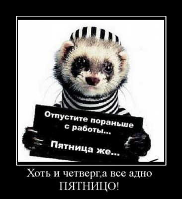 45458_10a7.jpeg (45.9 КБ) 4962 просмотра 45458_10a7.jpeg