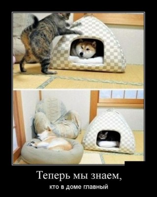 222.jpg (49.53 КБ) 4838 просмотров 222.jpg