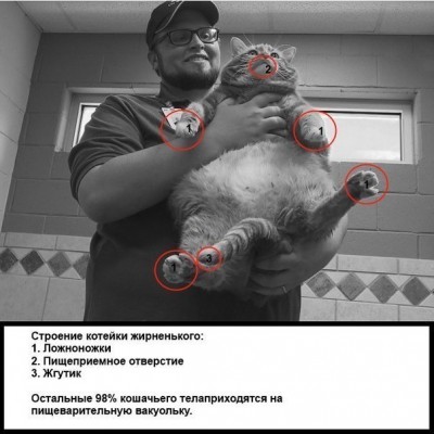 7SAAf_IaIYA.jpg (66.17 КБ) 6942 просмотра 7SAAf_IaIYA.jpg