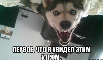 jlQ5LCnnDLY.jpg (31.07 КБ) 6942 просмотра jlQ5LCnnDLY.jpg