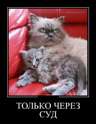 2.jpg (60.11 КБ) 4614 просмотров 2.jpg