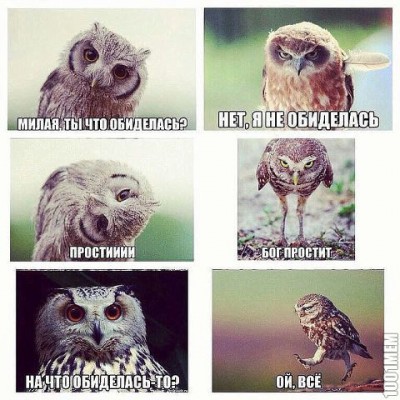 111.jpg (92.36 КБ) 6661 просмотр 111.jpg