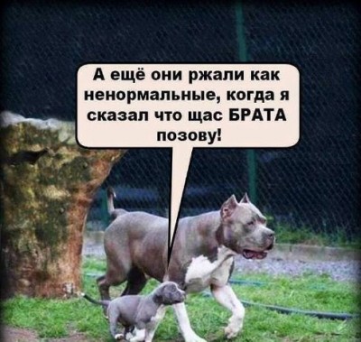 getImage.jpeg (57.02 КБ) 5359 просмотров getImage.jpeg