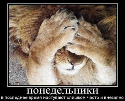 getImage-104.jpeg (61.94 КБ) 7099 просмотров getImage-104.jpeg