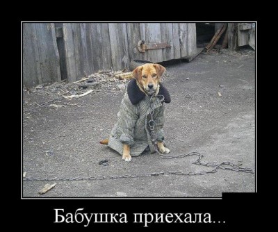 222.jpg (97.21 КБ) 4232 просмотра 222.jpg