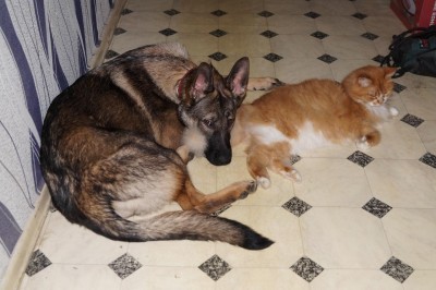 DSC00605.JPG (138.58 КБ) 16699 просмотров DSC00605.JPG