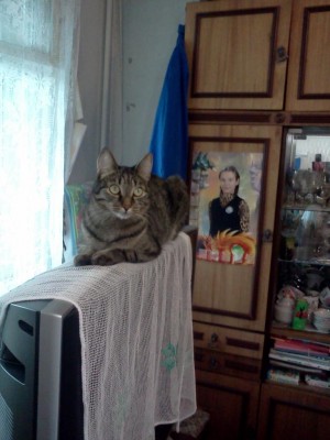 IMG080.jpg (87.76 КБ) 16677 просмотров IMG080.jpg