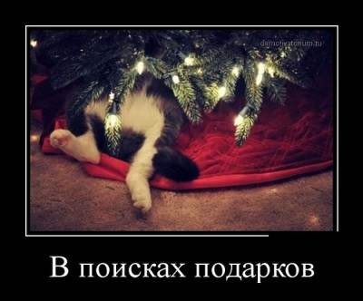 222.jpg (55.98 КБ) 6911 просмотров 222.jpg