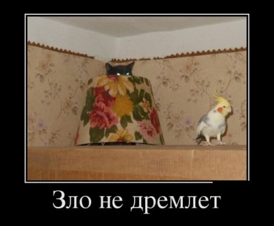 222.jpg (39.72 КБ) 6801 просмотр 222.jpg