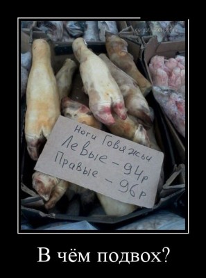 222.jpg (52.32 КБ) 6651 просмотр 222.jpg