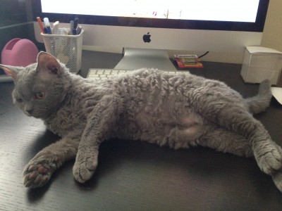 IMG_6294_2.JPG (1.49 МБ) 16372 просмотра IMG_6294_2.JPG