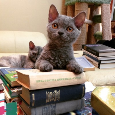 IMG_6091.JPG (1.23 МБ) 16372 просмотра IMG_6091.JPG