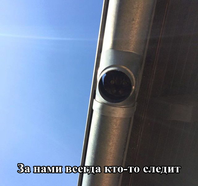 111.jpg
