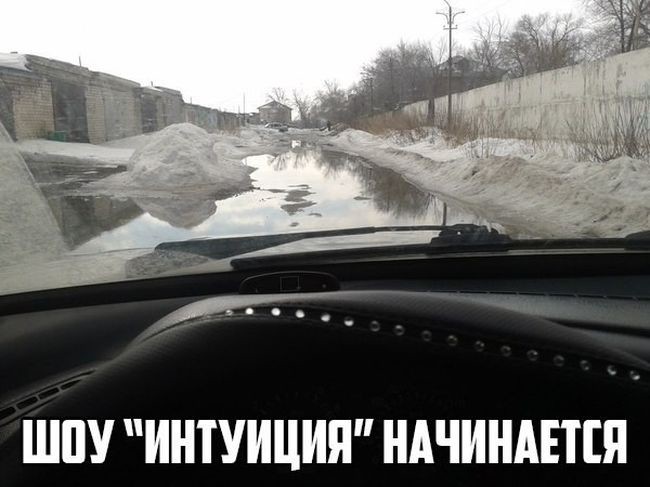 111.jpg