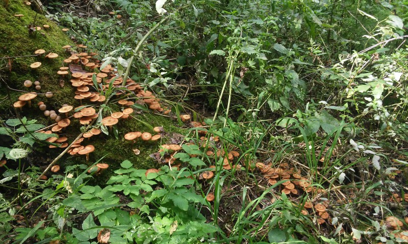 20150908_130821.jpg