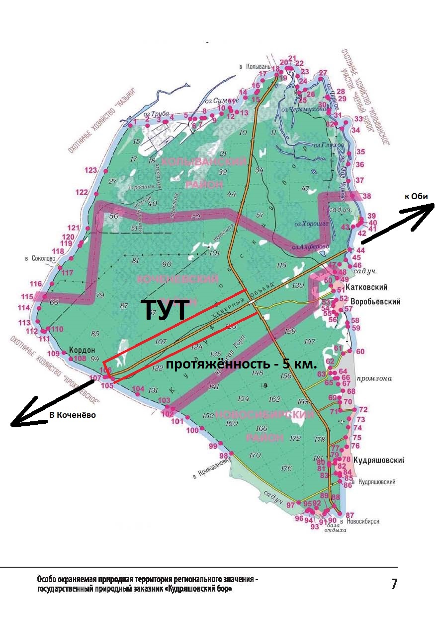 Звериный патруль.jpg