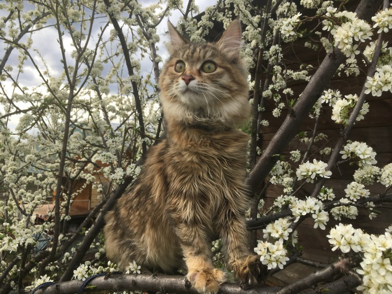 4CCBDDD7-E89E-4CF6-B6A5-51E29E6EEF7E.jpeg (1.17 МБ) 13077 просмотров 4CCBDDD7-E89E-4CF6-B6A5-51E29E6EEF7E.jpeg