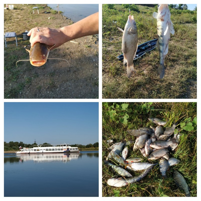 20190808_102627-COLLAGE.jpg